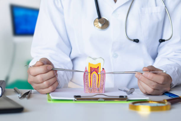 Best Urgent Tooth Repair  in Bertville, AL